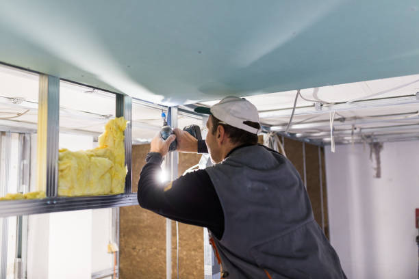 Best Wall Insulation Contractor  in Vla Grove, IL