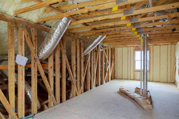 Best Insulation Inspection Services  in Vla Grove, IL